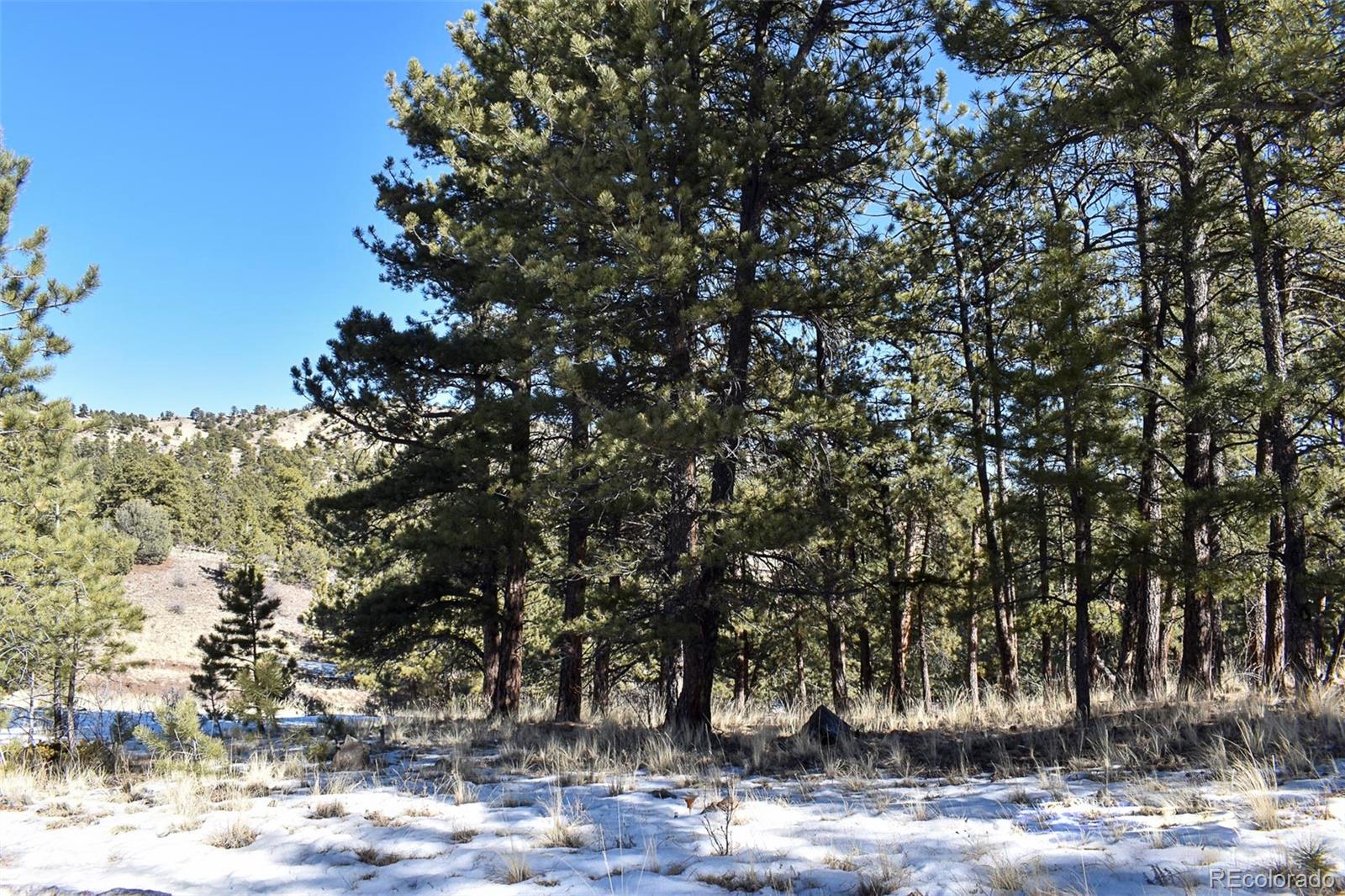 30 Wagonwheel Road Guffey, CO 80820 - Photo 23 of 26 Gallery Image 23