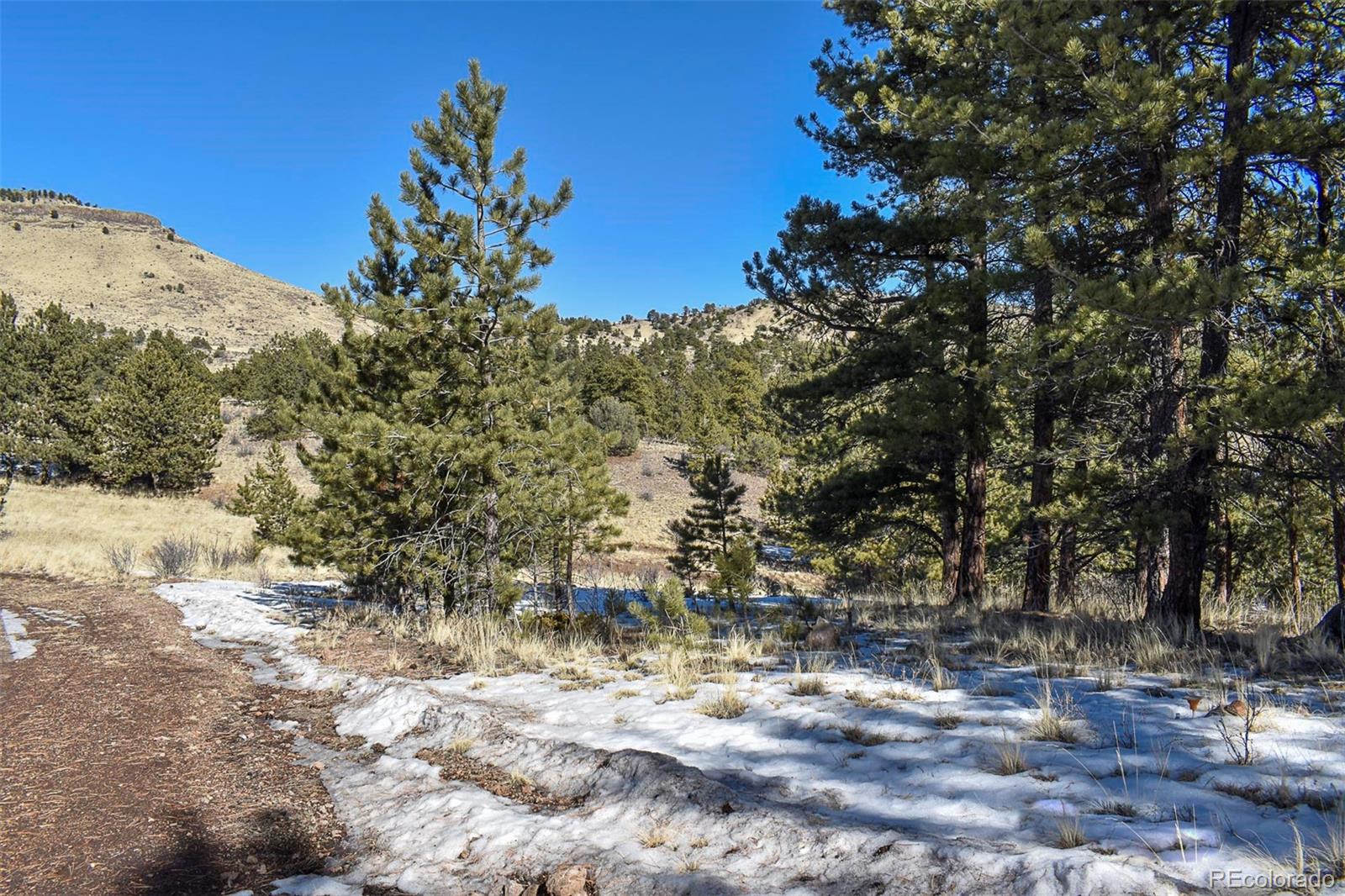 30 Wagonwheel Road Guffey, CO 80820 - Photo 24 of 26 Gallery Image 24