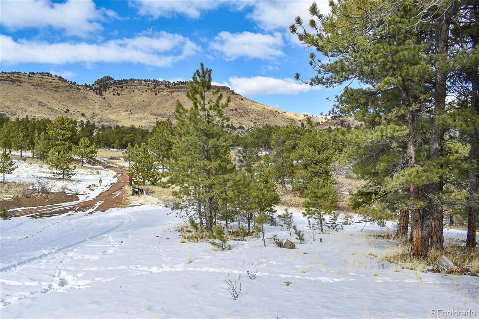 30 Wagonwheel Road Guffey, CO 80820 - Photo 3 of 26 Gallery Image 3
