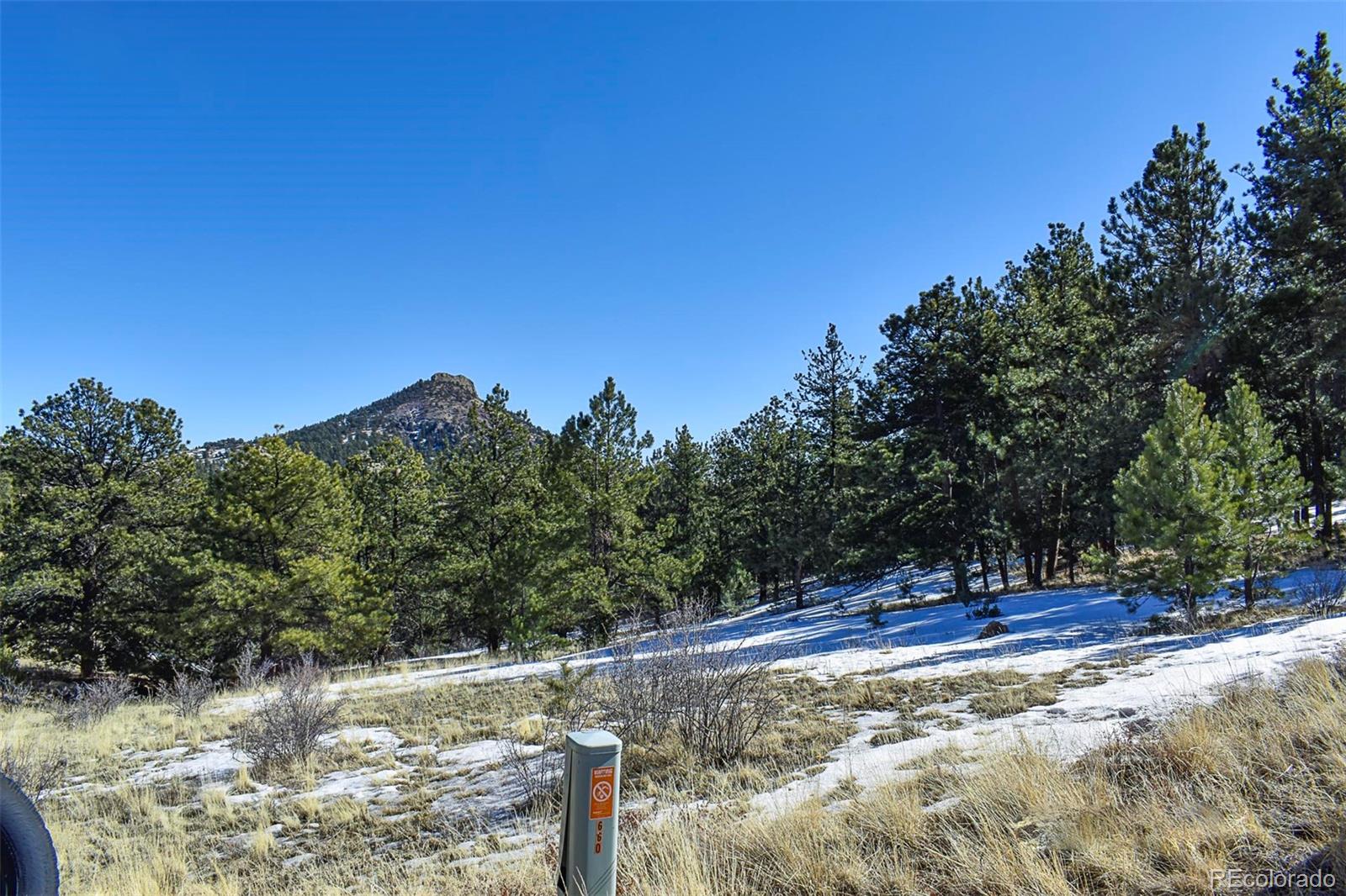 30 Wagonwheel Road Guffey, CO 80820 - Photo 4 of 26 Gallery Image 4