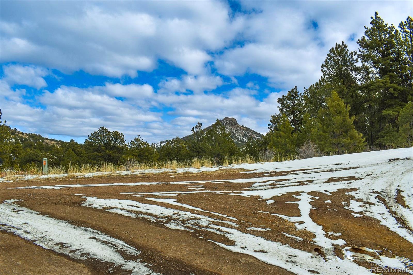 30 Wagonwheel Road Guffey, CO 80820 - Photo 6 of 26 Gallery Image 6