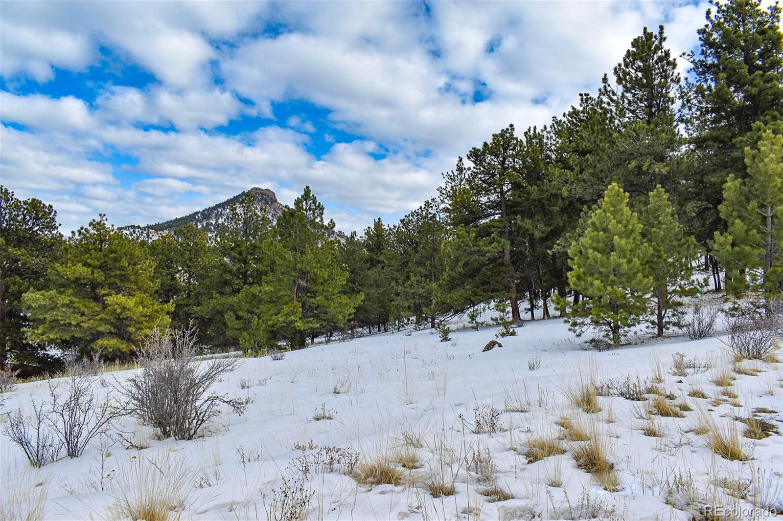 30 Wagonwheel Road Guffey, CO 80820 - Photo 7 of 26 Gallery Image 7