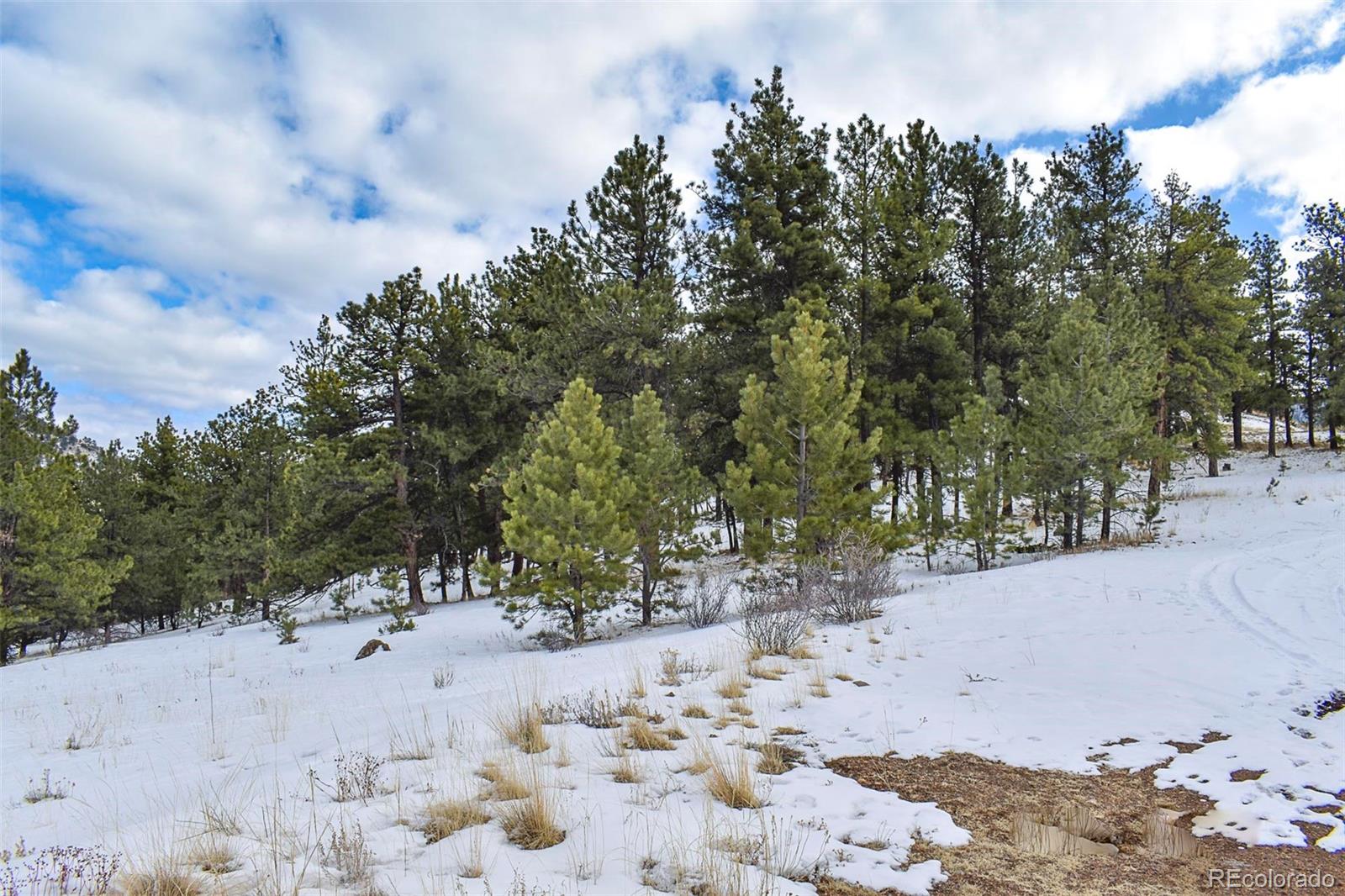30 Wagonwheel Road Guffey, CO 80820 - Photo 8 of 26 Gallery Image 8