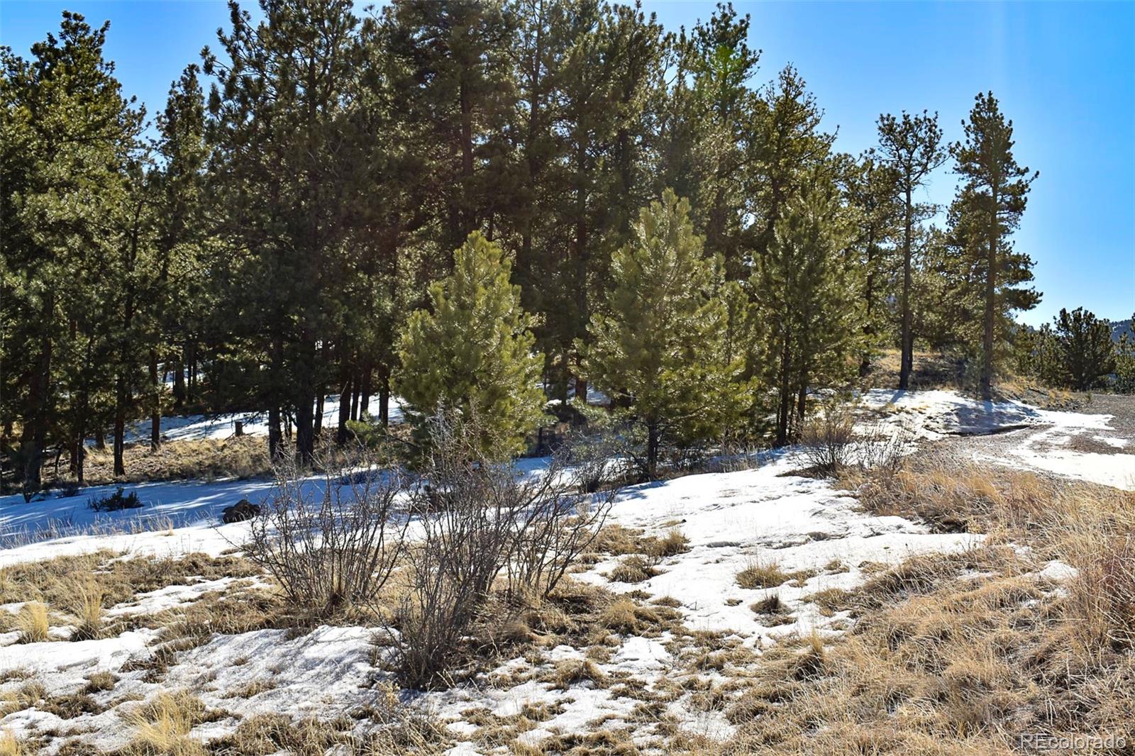 30 Wagonwheel Road Guffey, CO 80820 - Photo 9 of 26 Gallery Image 9