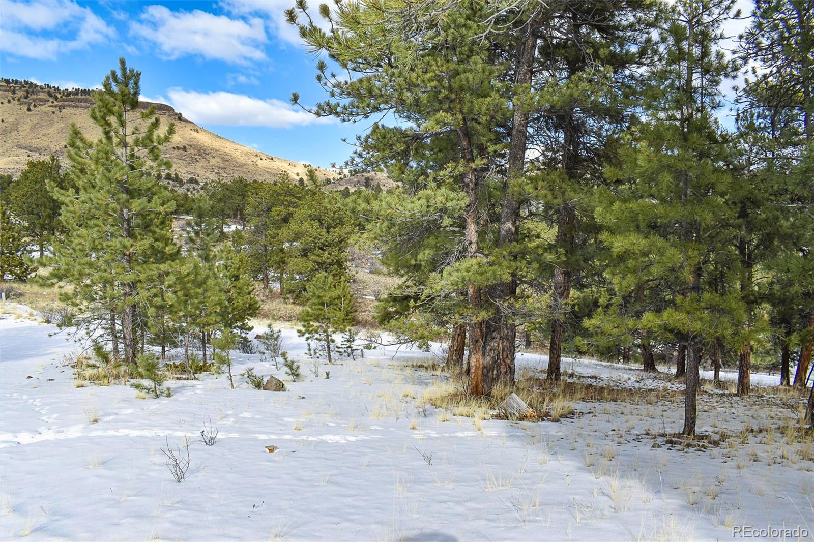 30 Wagonwheel Road Guffey, CO 80820 - Photo 10 of 26 Gallery Image 10