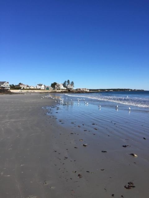 10 Constitution Road Kennebunk, ME 04043 - Photo 41 of 42 Nearby Beach