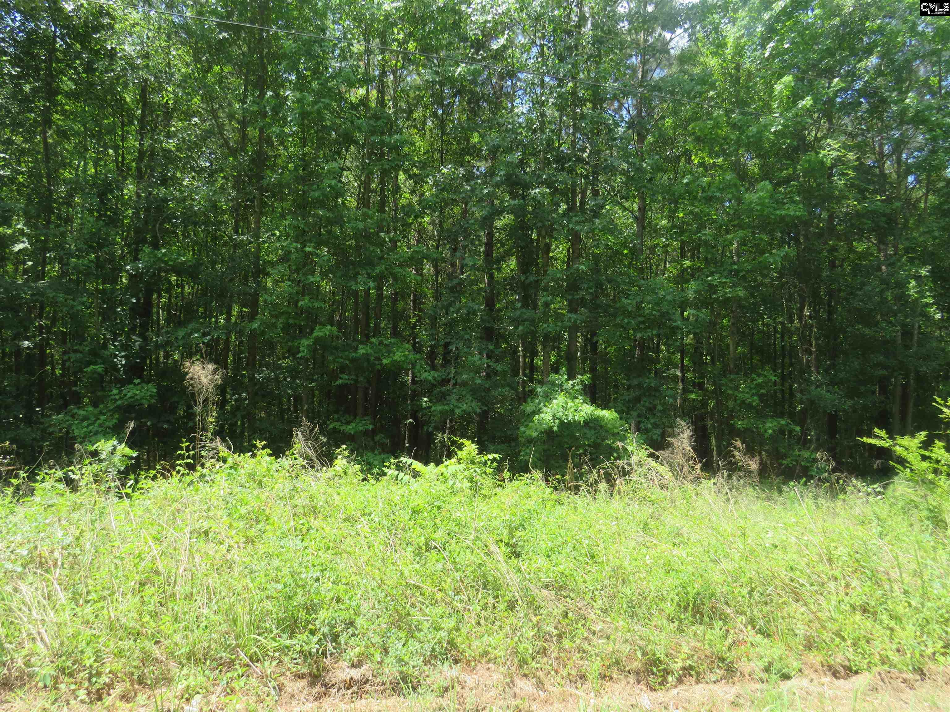 Old Eastover Road Eastover, SC 29044 - Photo 2 of 13