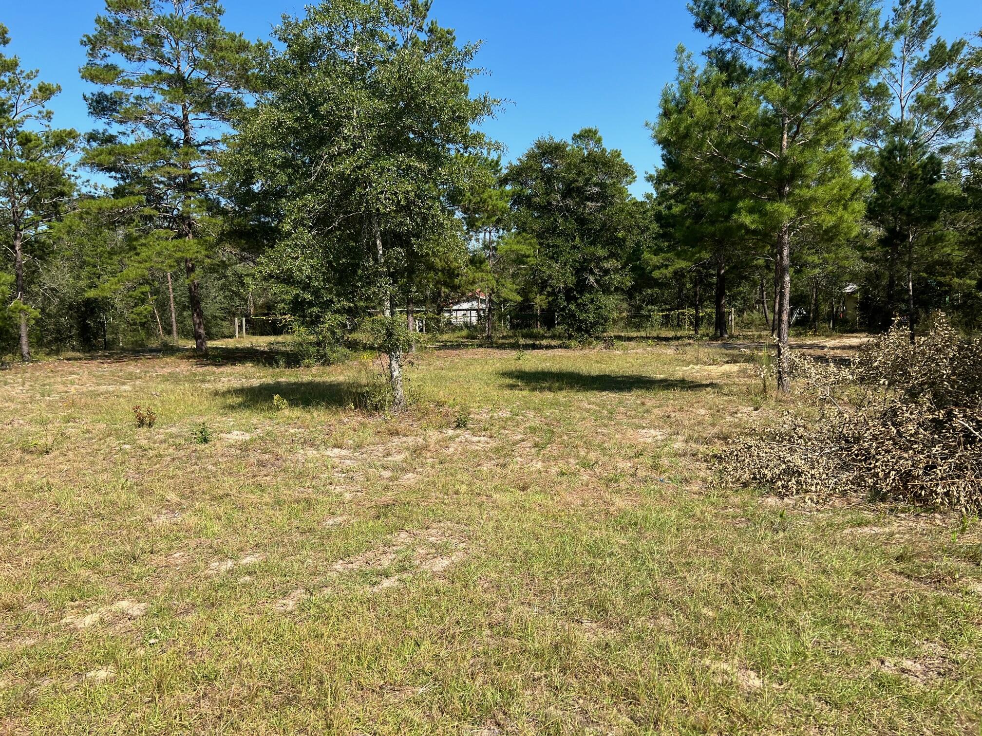 Lot 17 West Ralphael Road DeFuniak Springs, FL 32433 - Photo 3 of 11 IMG_6253