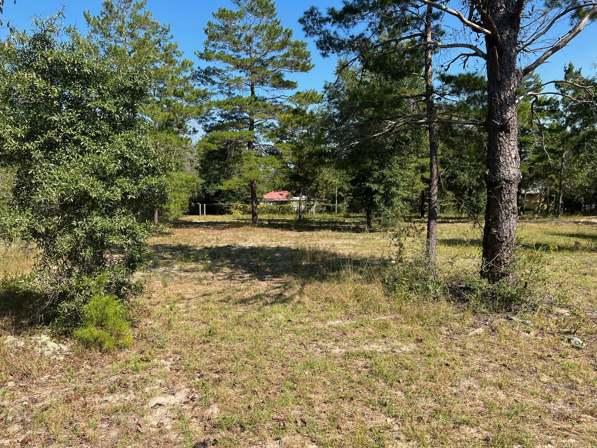Lot 17 West Ralphael Road DeFuniak Springs, FL 32433 - Photo 4 of 11 IMG_6252