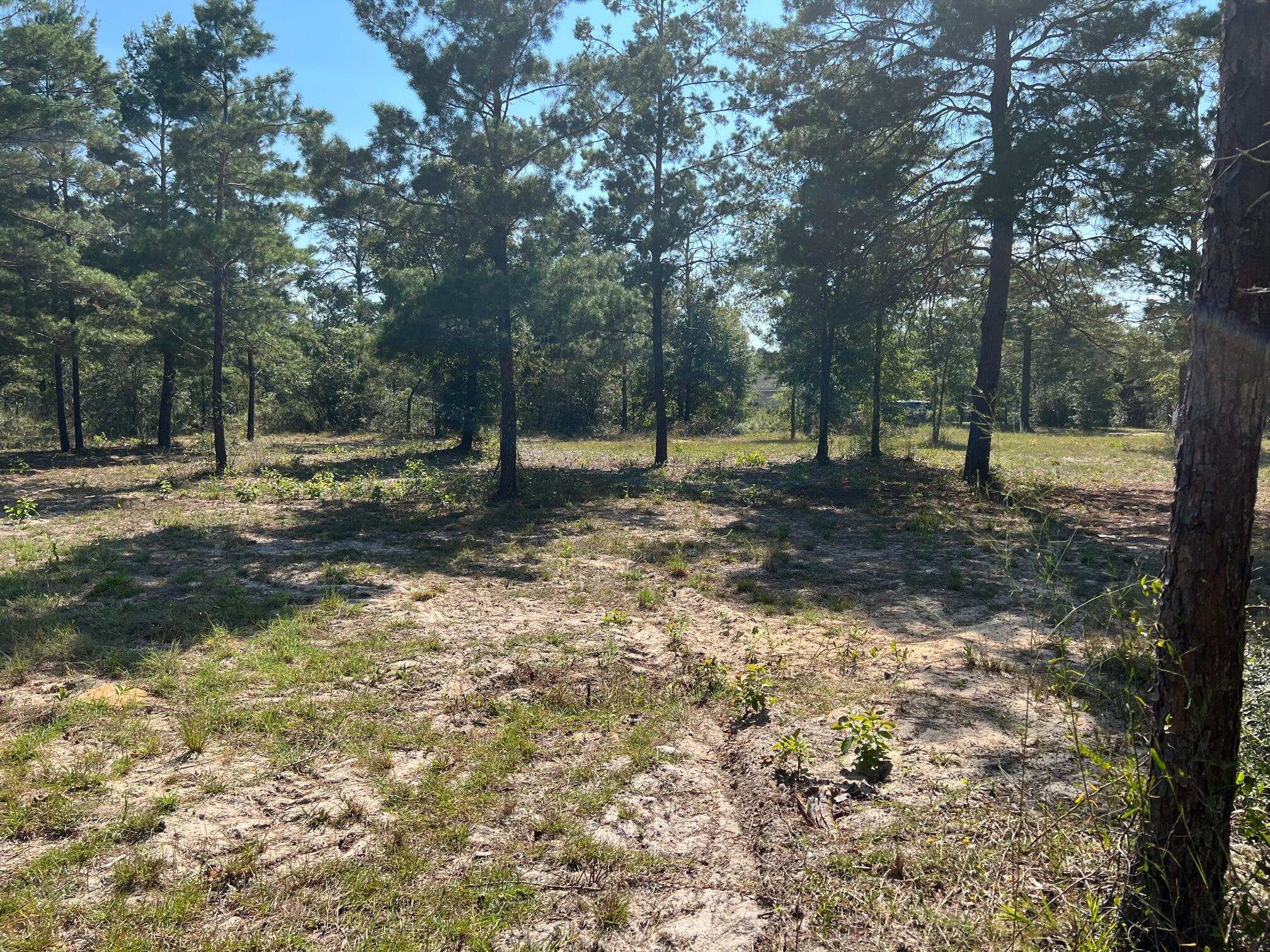 Lot 17 West Ralphael Road DeFuniak Springs, FL 32433 - Photo 5 of 11 IMG_6255