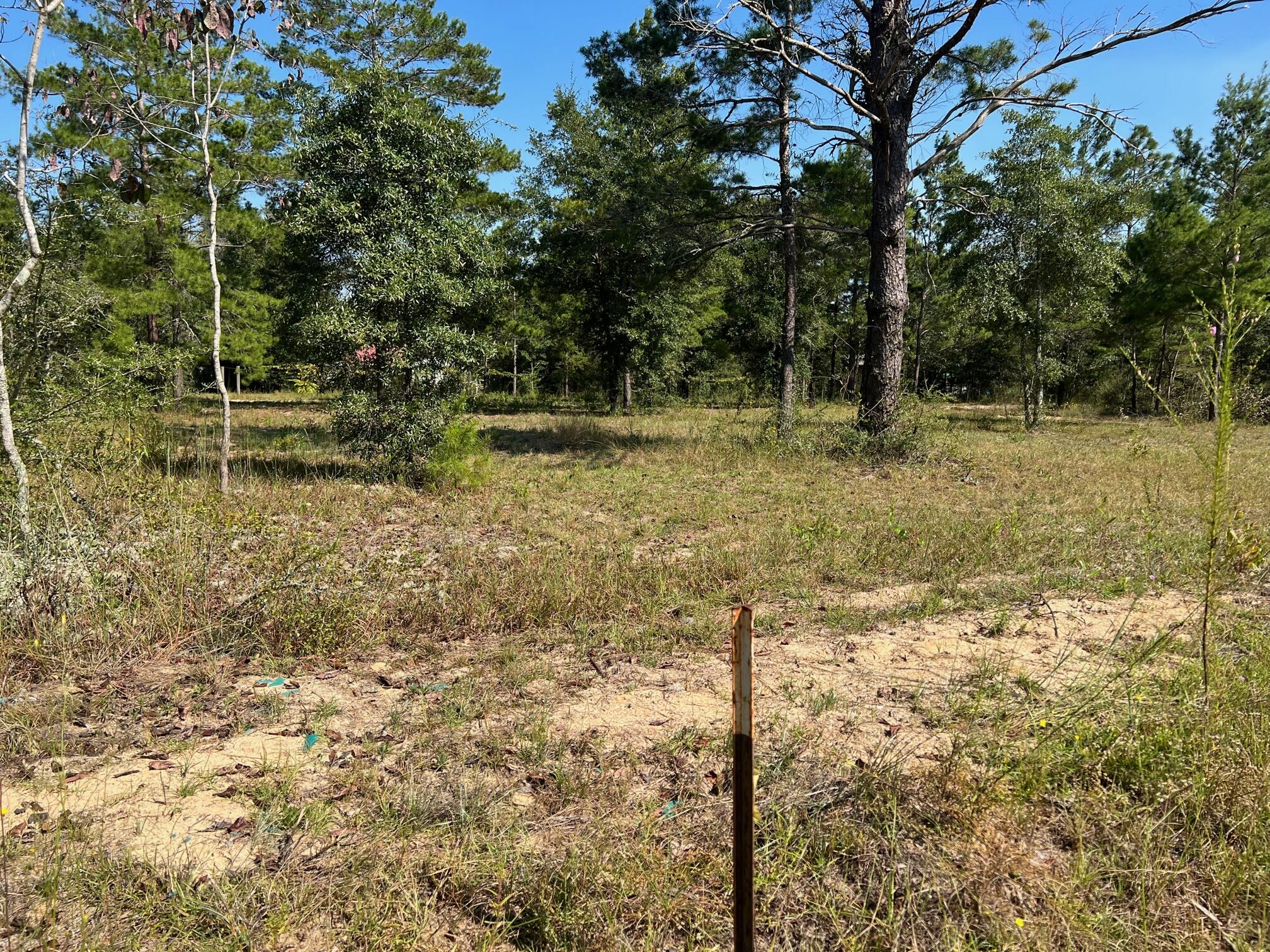 Lot 17 West Ralphael Road DeFuniak Springs, FL 32433 - Photo 7 of 11 IMG_6251