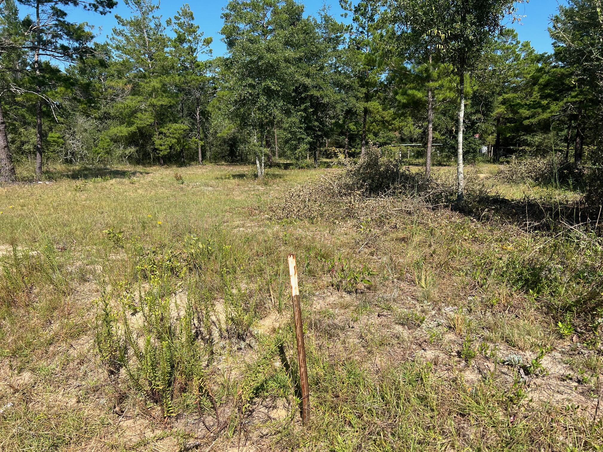 Lot 17 West Ralphael Road DeFuniak Springs, FL 32433 - Photo 8 of 11 IMG_6249