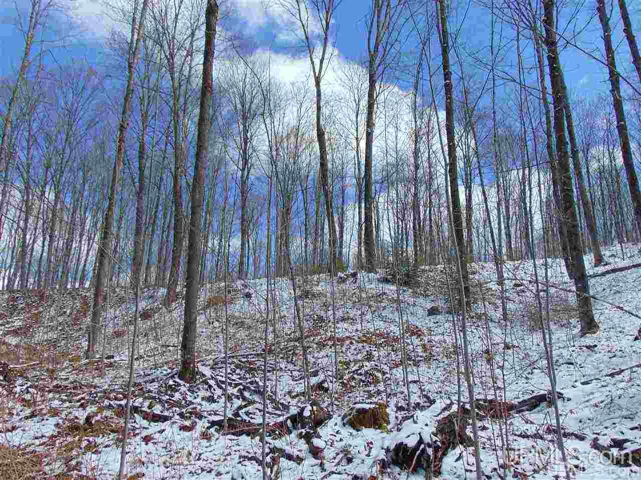 Tbd County Line Lake Road Watersmeet, MI 49969 - Photo 15 of 20 Gallery Image 15