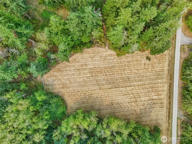 a view of a garden with plants