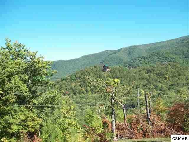 11 Perry Circle Road Sevierville, TN 37862 - Photo 1 of 1