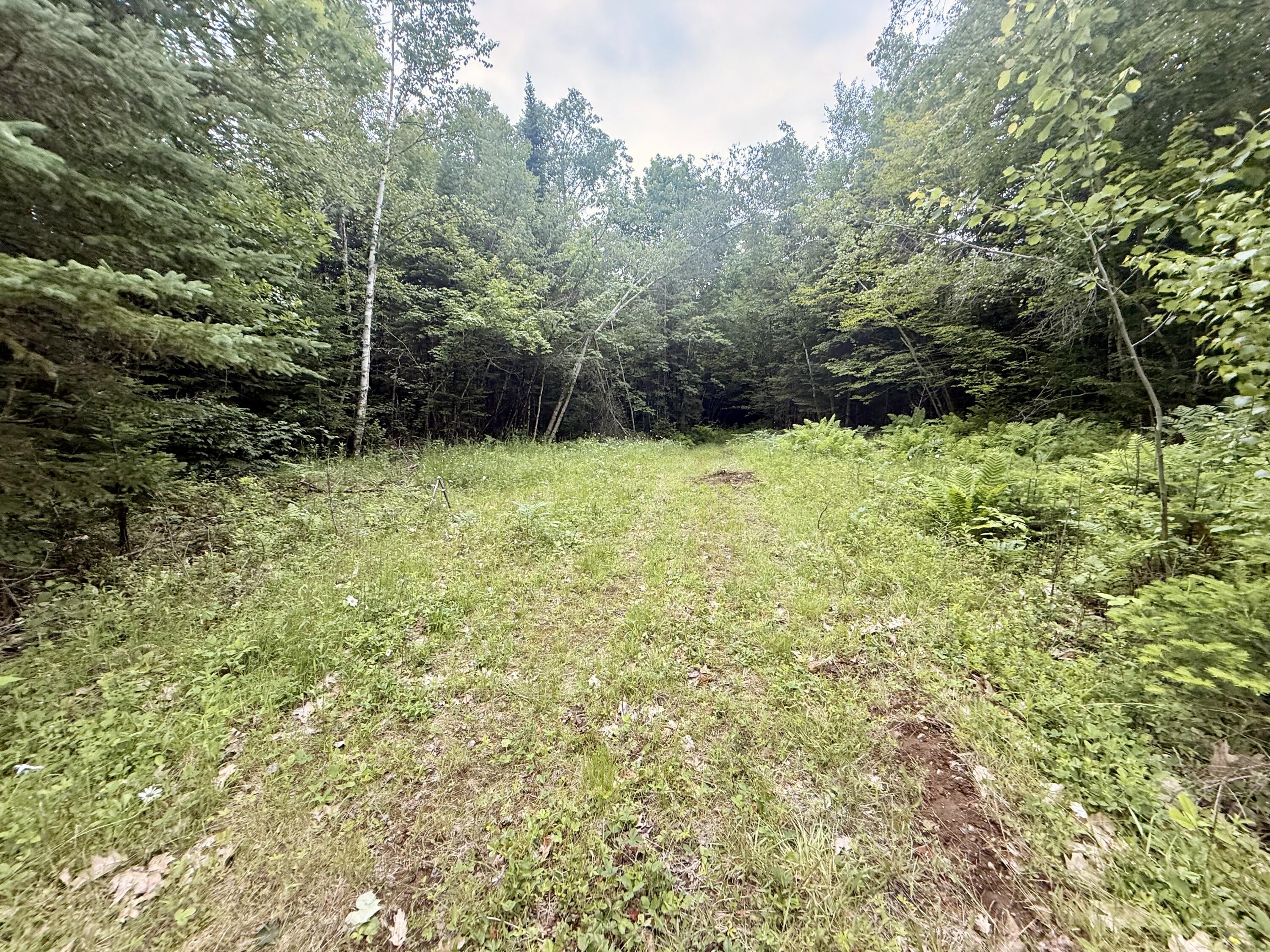 27-3 Marks Road Albion, ME 04910 - Photo 5 of 16 IMG_0970