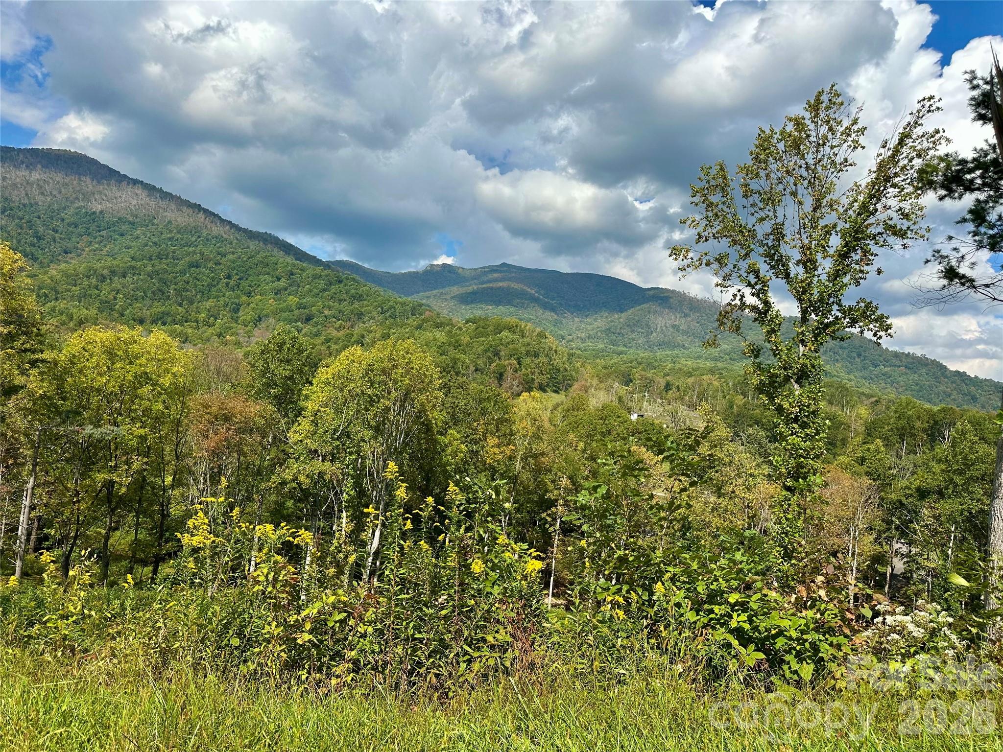 0 Pumpkin Patch Road Bakersville, NC 28705 - Photo 8 of 42