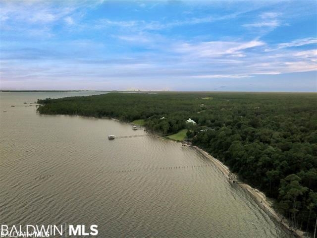 10346 County Road 99 Lillian, AL 36549 - Photo 8 of 11