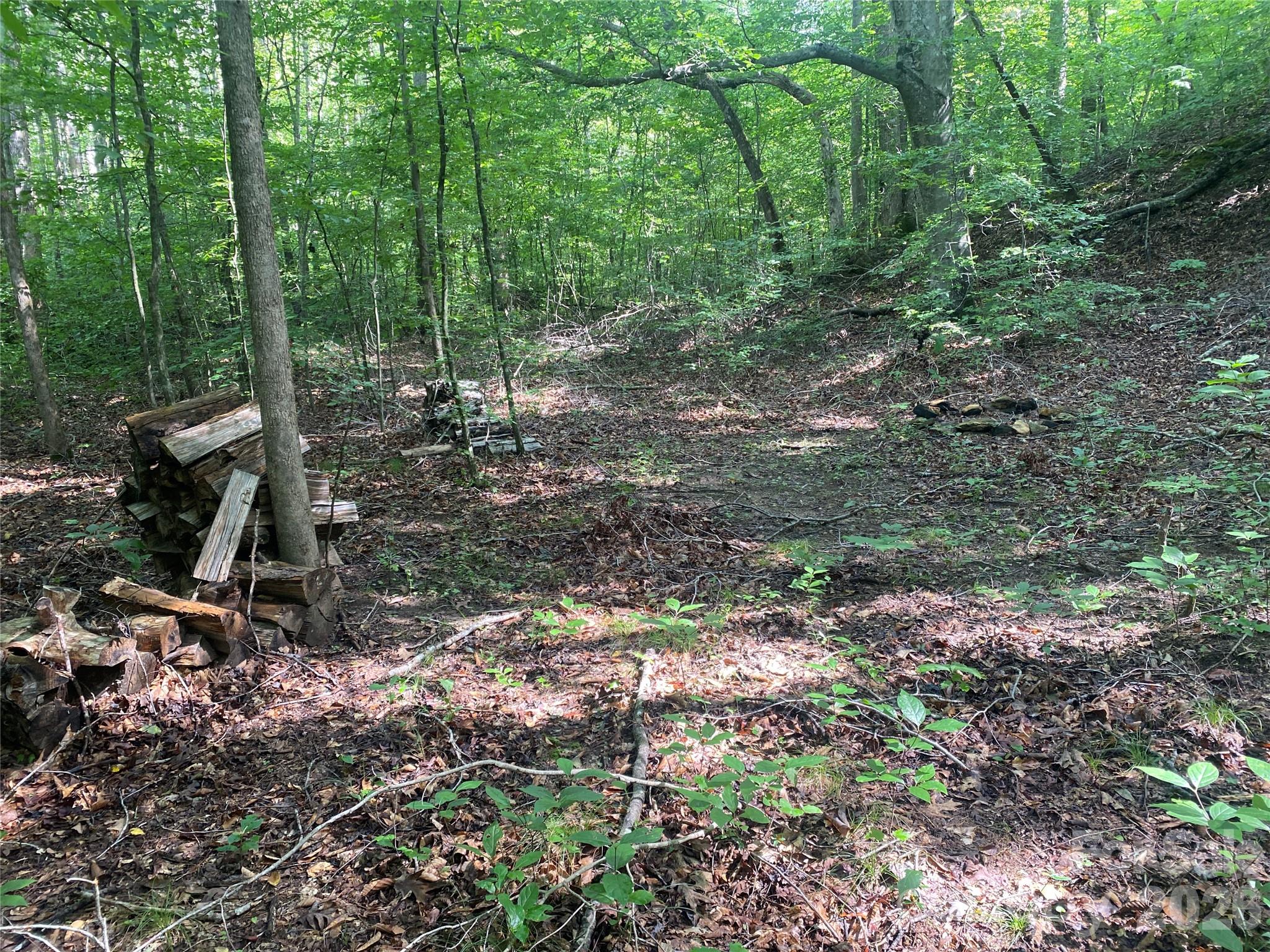 0 Camp McCall Road Bostic, NC 28018 - Photo 10 of 30 a backyard of a house with lots of green space