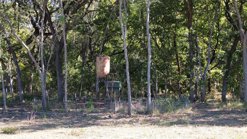0 Bee Creek Road Maypearl, TX 76064 - Photo 23 of 39 a view of a tree in front of a house