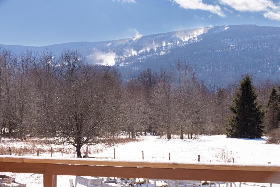 639 Wood Road Fleischmanns, NY 12430 - Photo 35 of 44