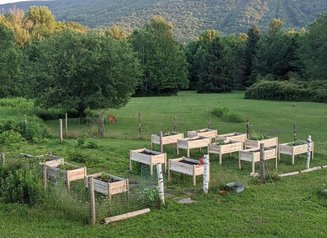 639 Wood Road Fleischmanns, NY 12430 - Photo 39 of 44