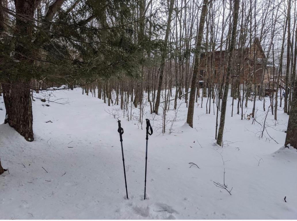 639 Wood Road Fleischmanns, NY 12430 - Photo 40 of 44