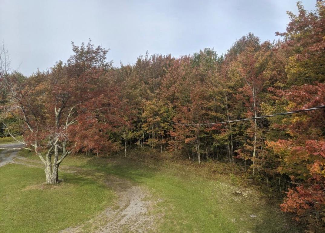 639 Wood Road Fleischmanns, NY 12430 - Photo 41 of 44