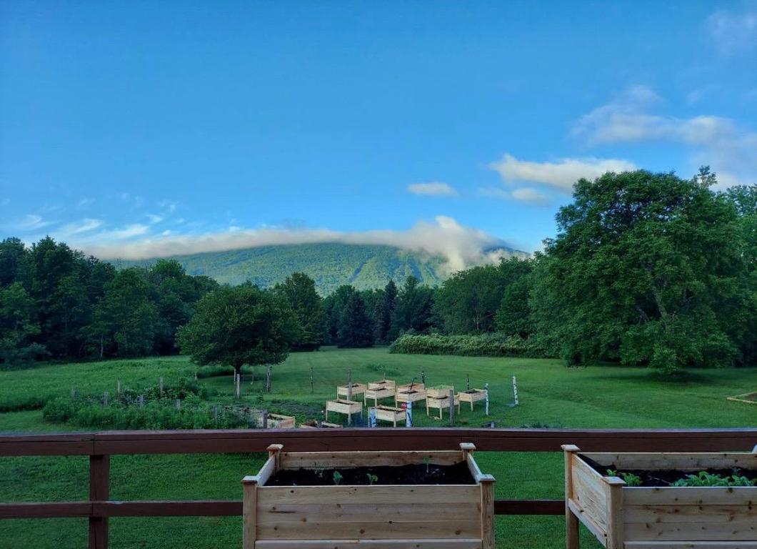 639 Wood Road Fleischmanns, NY 12430 - Photo 42 of 44