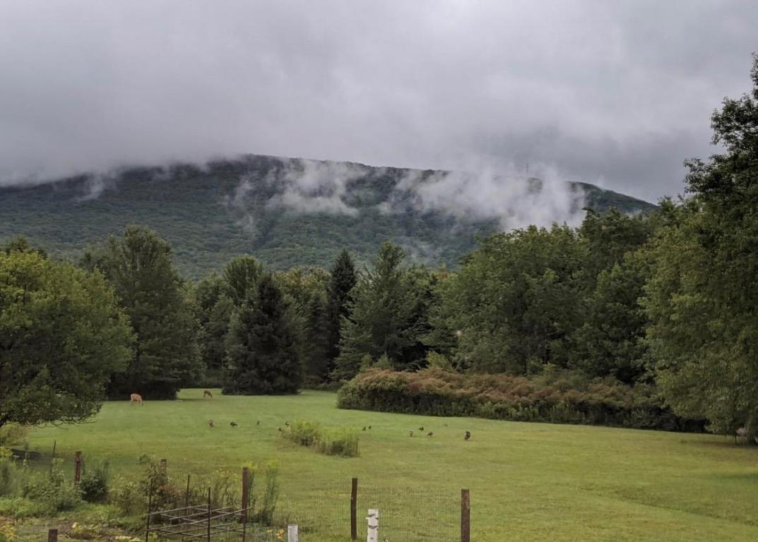 639 Wood Road Fleischmanns, NY 12430 - Photo 44 of 44