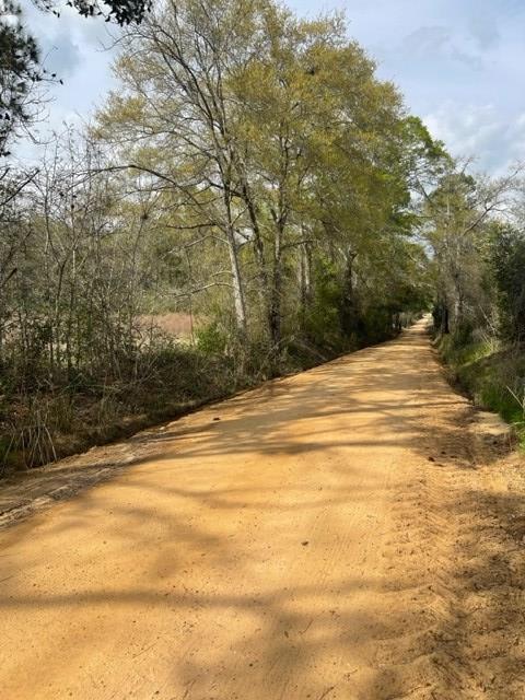 397 Lindsey-Goff Road Lenox, GA 31637 - Photo 19 of 20 Gallery Image 19