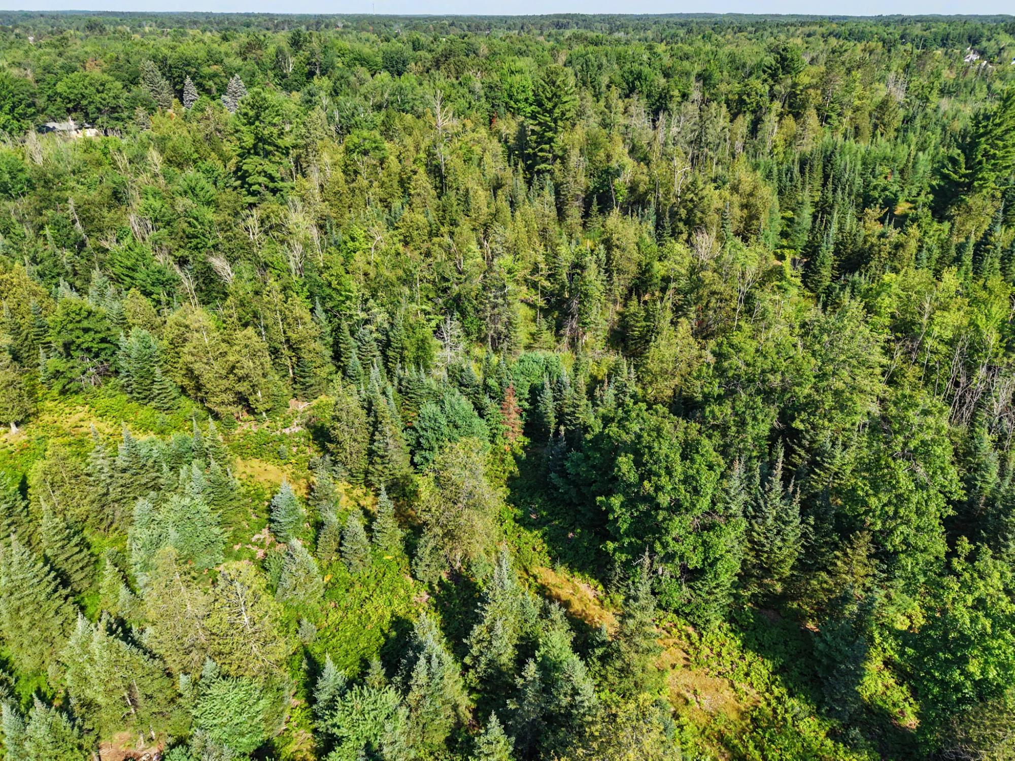 Off Chippewa Drive, Unit 30 ACRES Rhinelander, WI 54501 - Photo 9 of 14 Gallery Image 9
