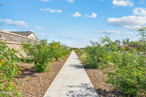 a view of a yard with plants and trees