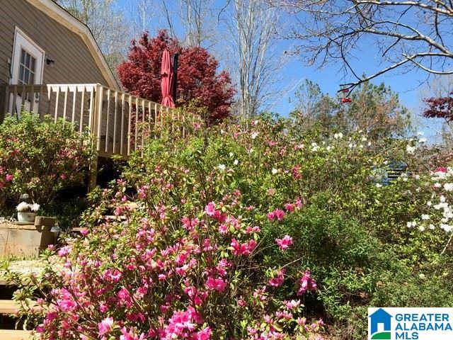 36 River Run Circle Lineville, AL 36266 - Photo 9 of 31