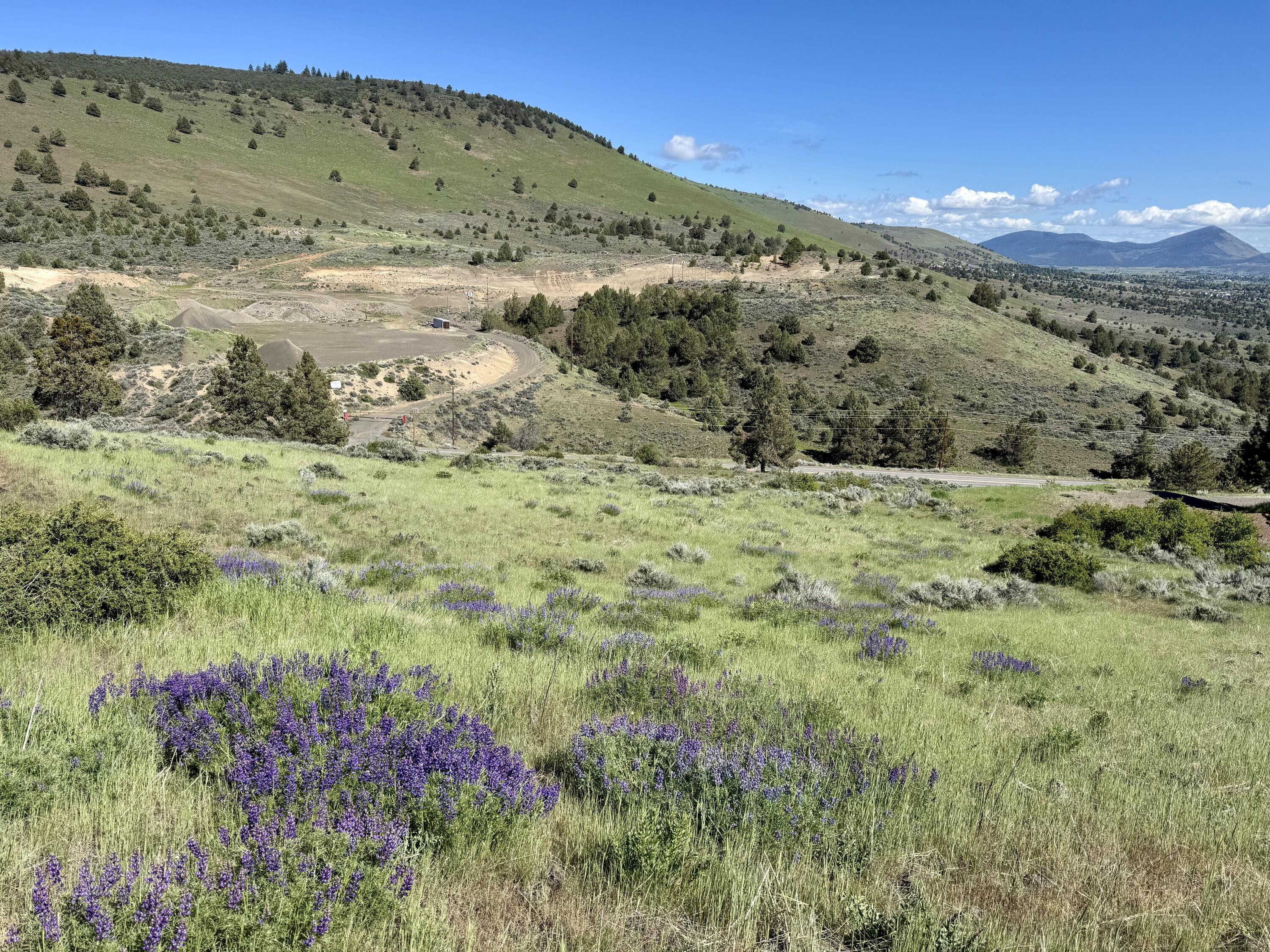 0 Plum Hill Road, Unit LOT 702 Klamath Falls, OR 97601 - Photo 14 of 21