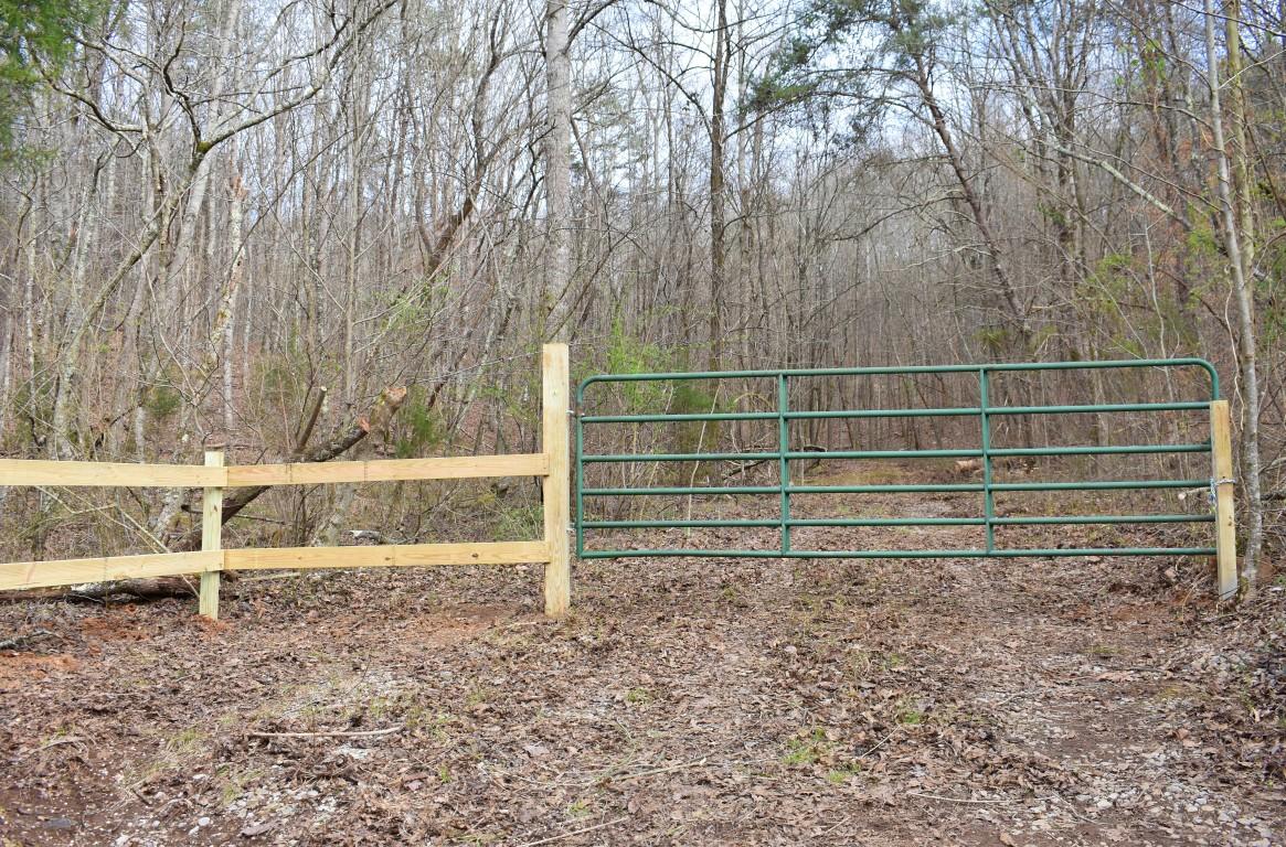 23.4-acres Toestring Valley Road, Unit 23 4 ACRES Spring City, TN 37381 - Photo 1 of 52 Primary (Medium)