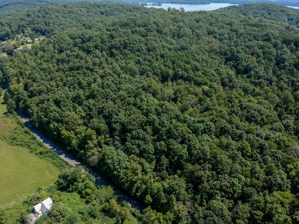 23.4-acres Toestring Valley Road, Unit 23 4 ACRES Spring City, TN 37381 - Photo 14 of 52 toe string-1 drone (4)