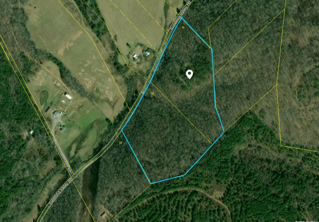 23.4-acres Toestring Valley Road, Unit 23 4 ACRES Spring City, TN 37381 - Photo 5 of 52 Toestring Valley Rd 23 acres