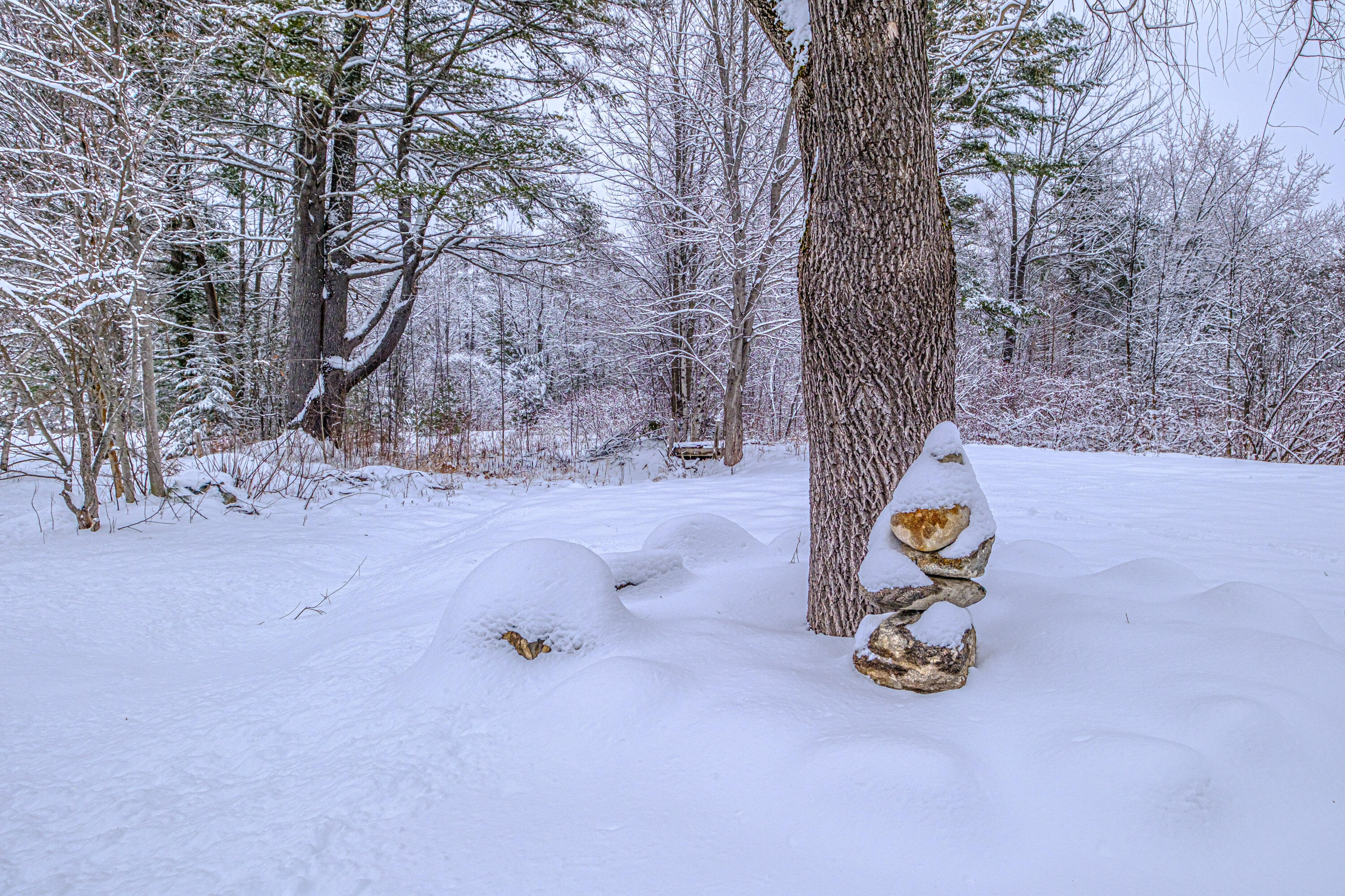 12 Paradise Hill Road Bethel, ME 04217 - Photo 56 of 64
