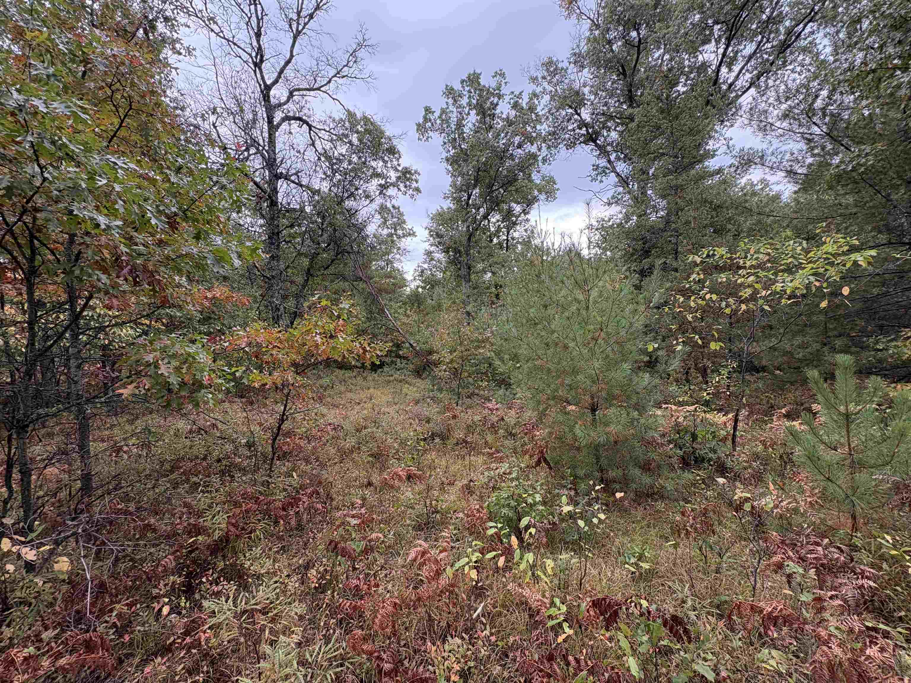 0 Hall Road Roscommon, MI 48653 - Photo 9 of 17
