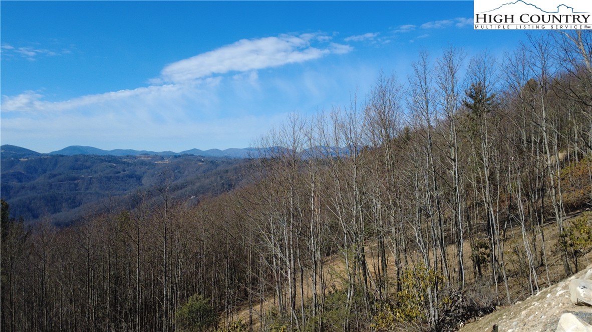 Angelfire Trail Deep Gap, NC 28618 - Photo 20 of 23 a view of a dry yard
