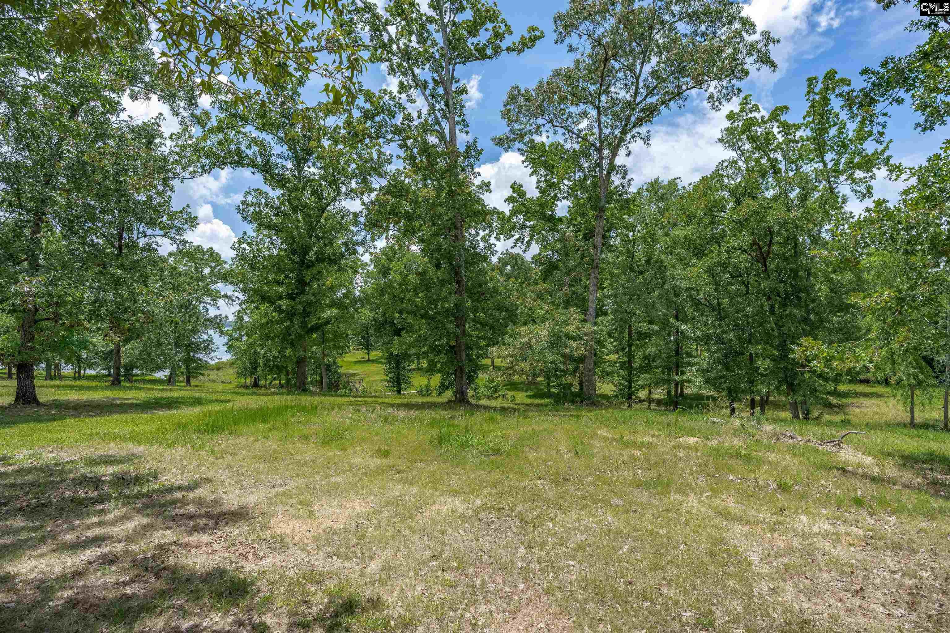 165 St Thomas Church Road Chapin, SC 29036 - Photo 75 of 99