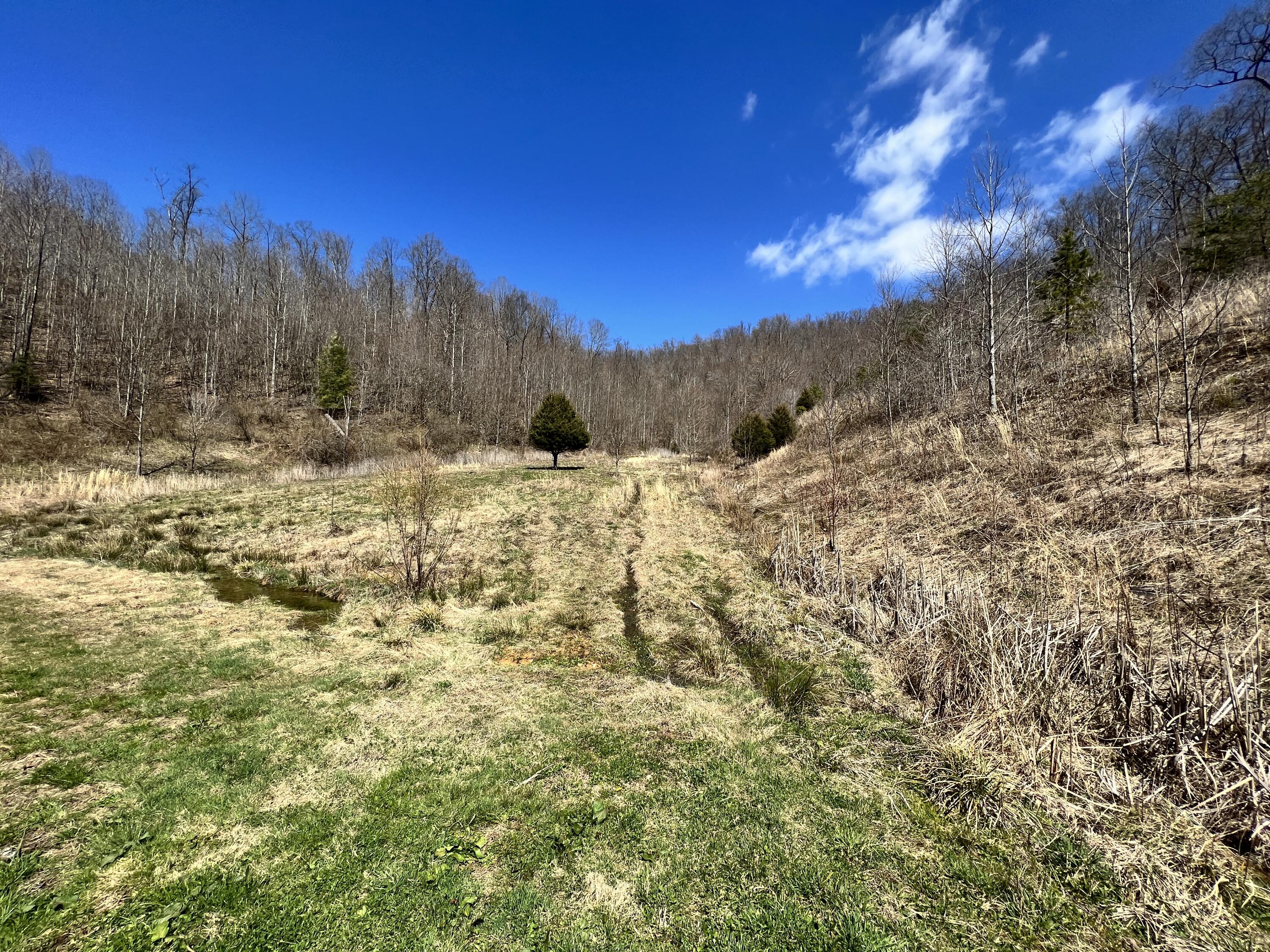2229 Buckeye Branch Road Flat Lick, KY 40935 - Photo 89 of 101 AF27B17C-82B2-46CC-B78E-9D057C8BF577