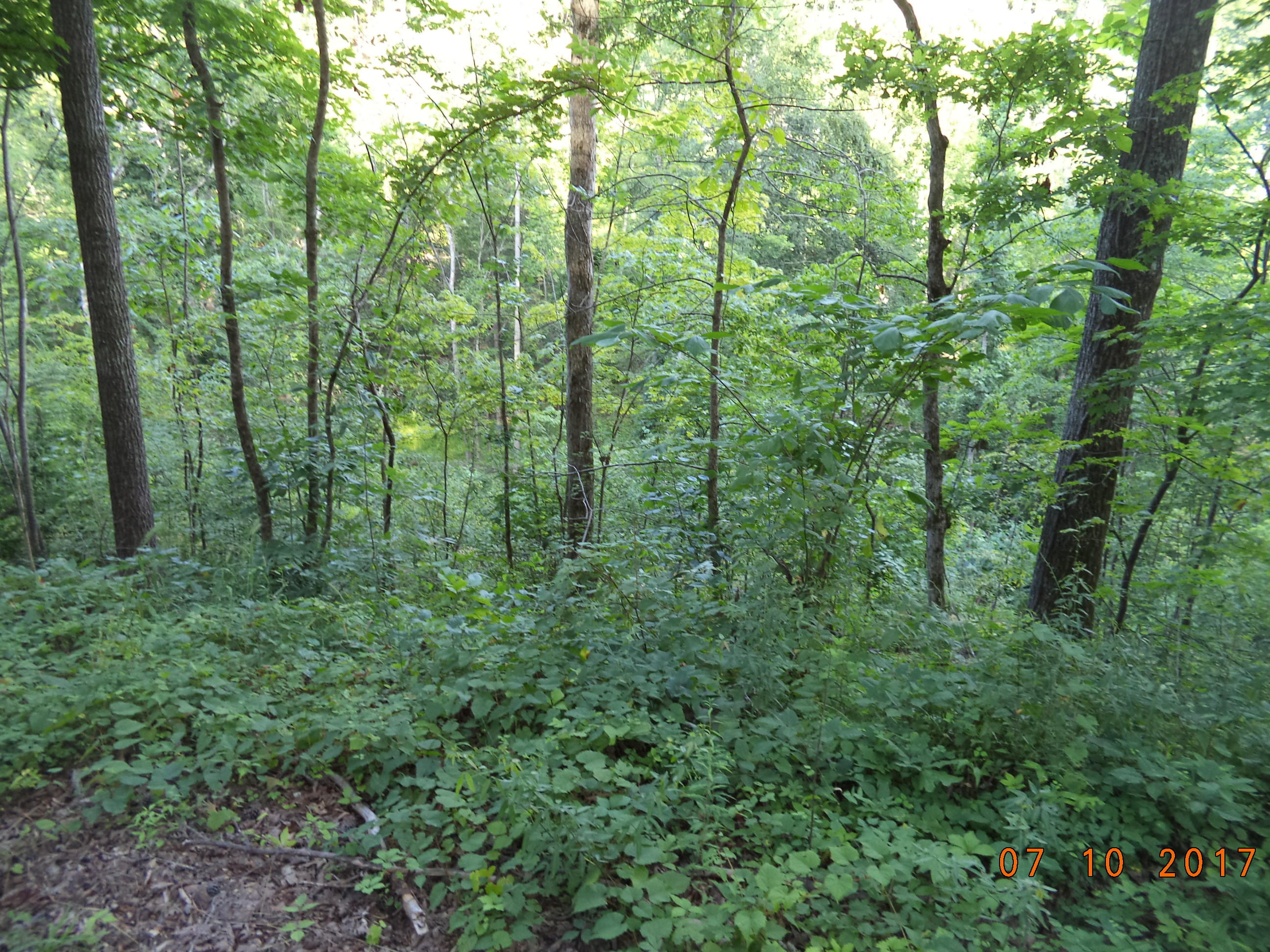 Howard Day Rd Road Huntsville, TN 37756 - Photo 1 of 3 DSC08625