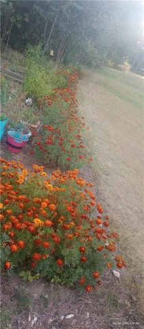 a view of a backyard