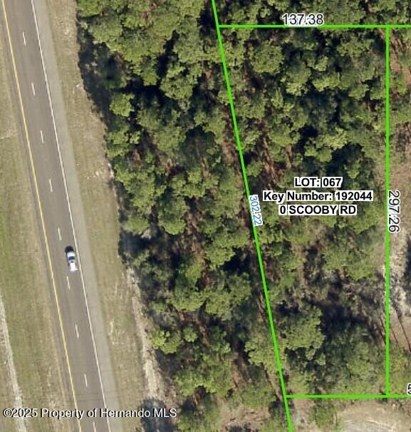 . Scooby Road Brooksville, FL 34604 - Photo 7 of 7
