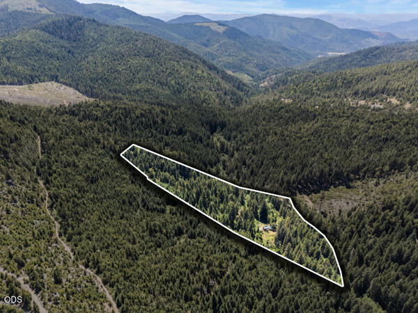 8245 Jumpoff Joe Creek Road Grants Pass, OR 97526 - Photo 4 of 43 a view of a forest with a mountain