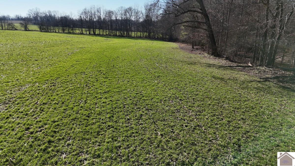 0 Erwin Road Murray, KY 42071 - Photo 24 of 24 Photo 24