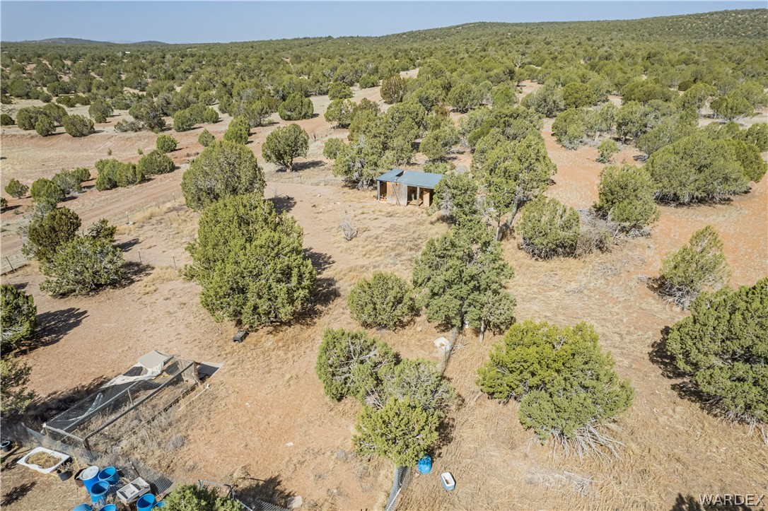 43900 West Weathervane Road Seligman, AZ 86337 - Photo 42 of 52 Gallery Image 42