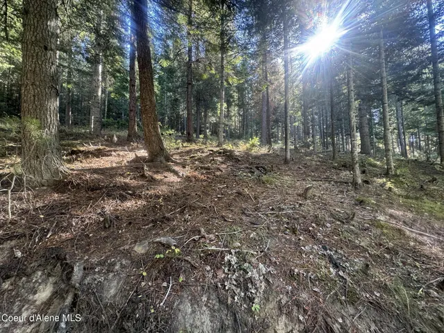 $425,000 | 94 Lochsa Lane, Pinehurst, ID 83850